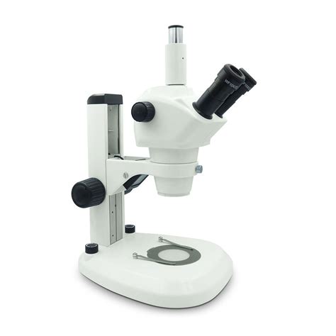 Image result for Stereo Microscope Uses