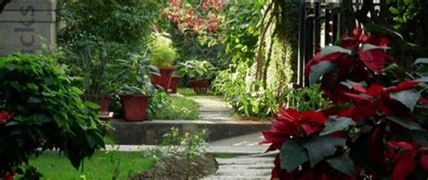 Residential Projects in Basava Nagar, Bangalore: View All 37+ Projects ...