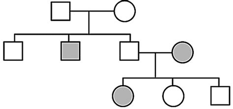 Image result for Principles of Inheritance and Variation KCET Questions