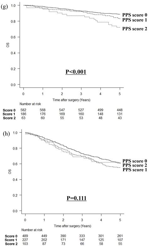 Prealbumin Prognostic Score: A Novel Prognostic Indicator After Radical ...