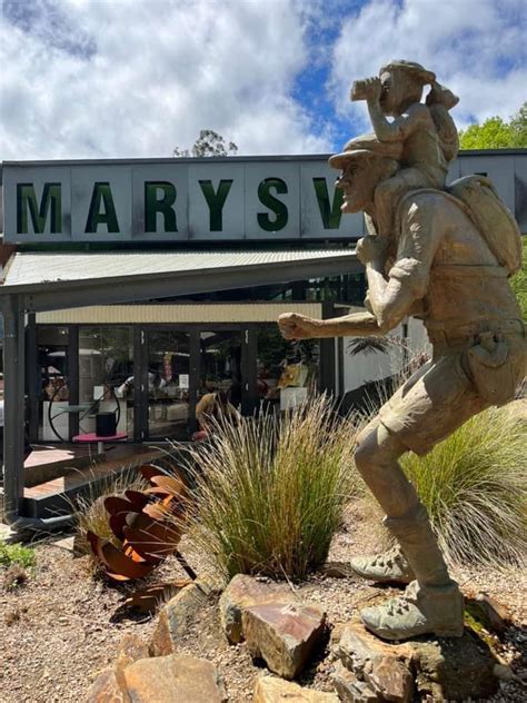 Birds In Focus Exhibition Opening Event, 11 Murchison St, Marysville ...