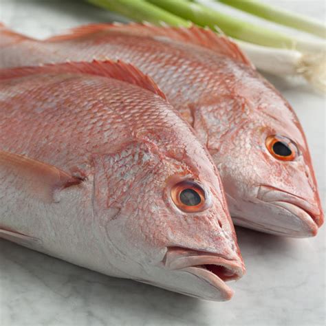 Image result for Clean Red Snapper