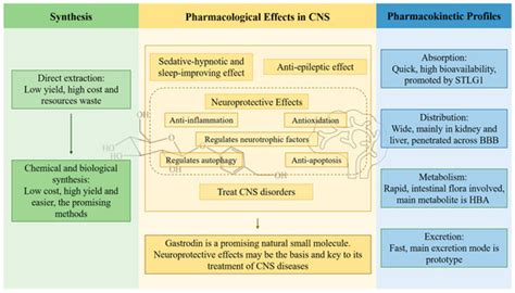 Gastrodin, a Promising Natural Small Molecule for the Treatment of ...