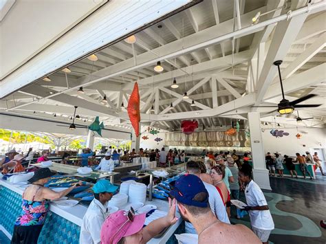 Ocean Cay Guide with Bar Menu, Beaches, Info, & Map - MSC Cruises ...