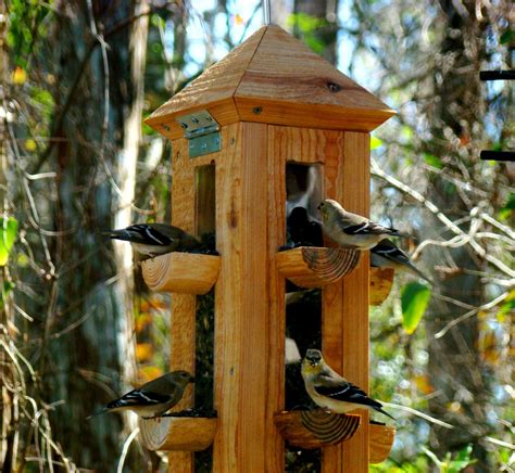 Best Bird Feeders For Red Birds at George Ashcraft blog
