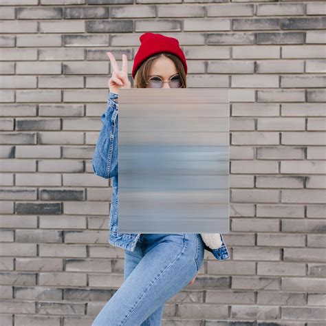 Invisibility Shield - 17"x13", Sturdy Shield with Lenticular Sheet ...