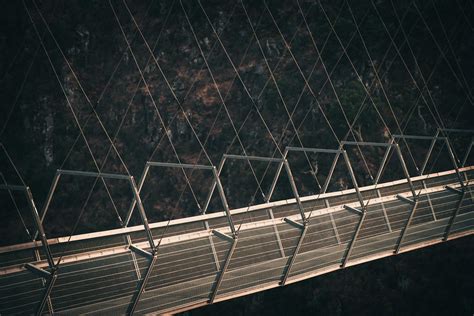 Bridge Rapper 的图像结果