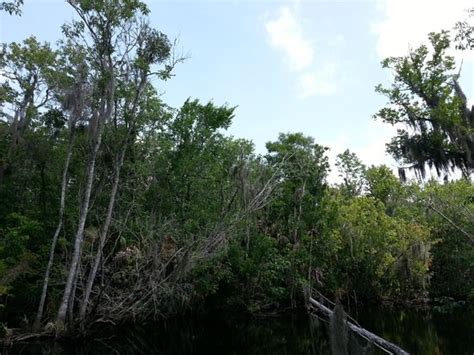 Fireboat Airboat Tours (Astor) - All You Need to Know BEFORE You Go