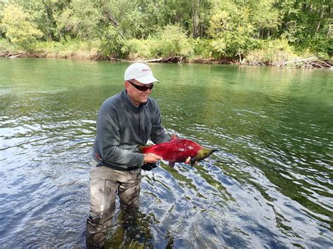 Image result for Maggot Fly Pattern