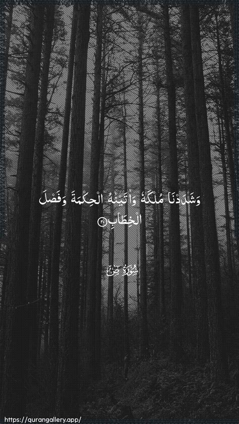 Prophet Dawud's Wisdom (Surah Sad 38:20) - The Gift of Decisive Speech ...