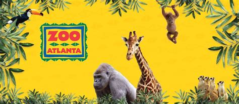 Sippin’ Safari, 800 Cherokee Ave SE, Atlanta, GA, United States ...