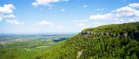 Five Unique Nature Finds in Albany County