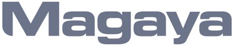 Image result for Tutorial Magaya