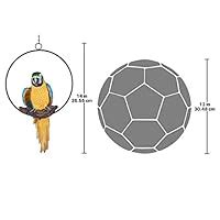 Buy Design Toscano Polly in Paradise Parrot Hanging Bird Ring Perch ...