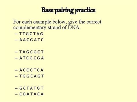 Image result for DNA Replication Complementary Strand