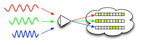 Image result for Qualia Explained