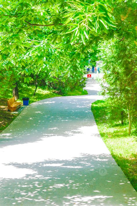 Country Scenery 的图像结果