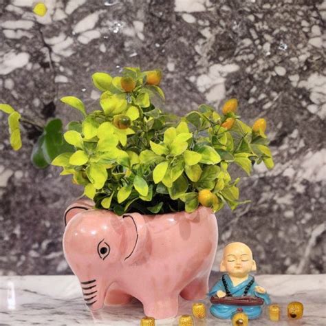 Elephant Table Top Ceramic Pot Pink With Ring — Plant N Pots
