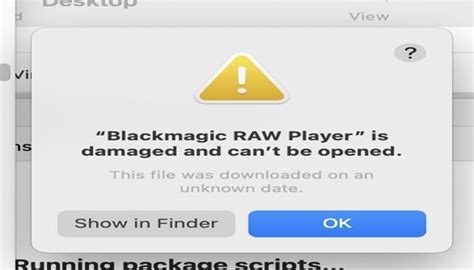 Blackmagic RAW Player: The Quickest Way to Download It