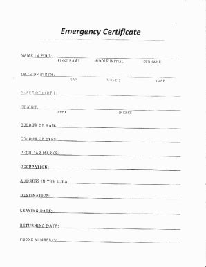 2018-2026 Form NY Guyana Consulate Emergency Certificate - Blank ...