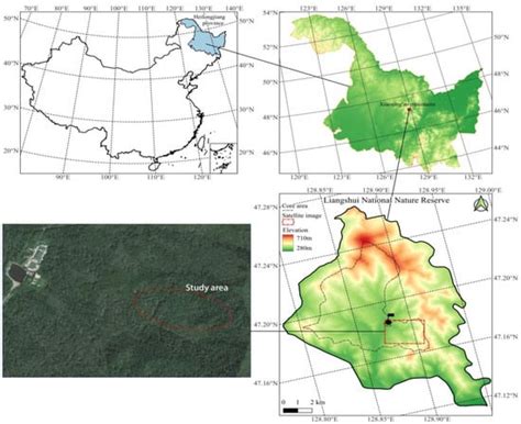 Influence of Canopy Environmental Characteristics on Regen-eration of ...