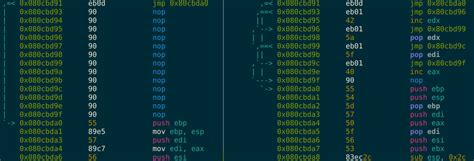 Image result for Metamorphic Code