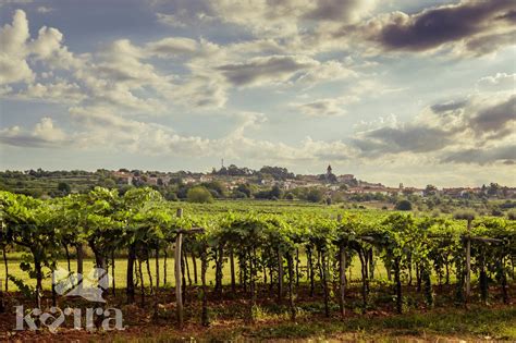 THE BEST Places to Visit in Tomaj (2025) - Must-See Attractions