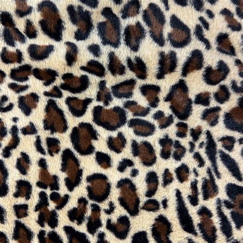 Shop High-Quality Dog Beds & Mats Online In India | Tails Nation