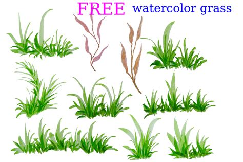 Free Watercolor Grass. Green Grass Graphic by Cyudeshbuhu · Creative ...