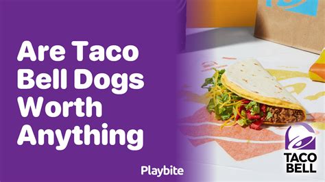 Are Taco Bell Dogs Worth Anything? - Playbite