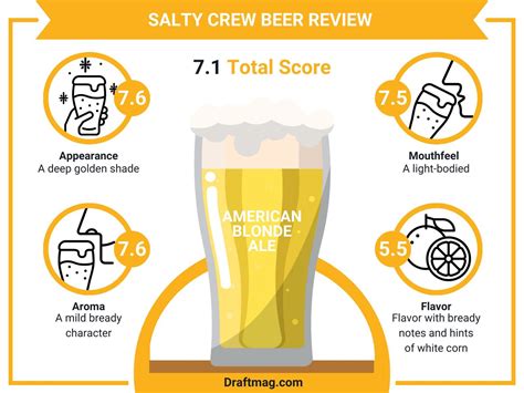 Salty Crew Beer Review: Is This Coronado Beer Salty?