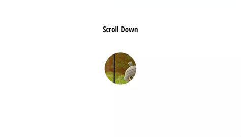 Image result for HTML Me Image Scroll Kr How To