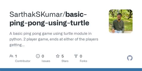 Basic Turtle Programs Pong 的图像结果