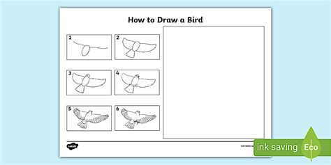 How to Draw a Bird Activity