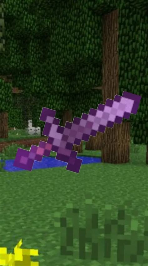 Image result for Netherite Sword Screenhot