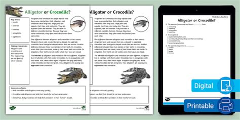 Alligator vs. Crocodile | ELA Teaching Resource | Twinkl USA