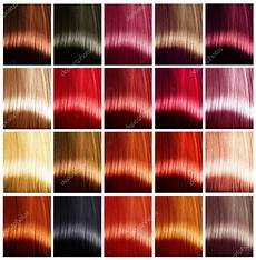 rote haarfarben palette haarfarben palette stockfoto 169 subbotina 80038496 rote haarfarben palette haarfarben palette stockfoto 169 subbotina 80038496