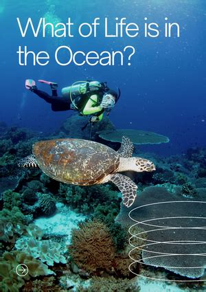 Testing Window 1 Join codes 2023 - Testing Window 1 Join codes: Course ...