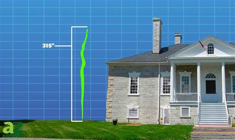 Image result for Biggest Python Ever Found