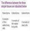 write the characteristics of parenchyma,collrnchyma and sclerenchyma ...