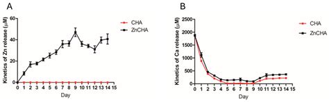 In Vitro Evaluation of Cellular Interactions with Nanostructured ...