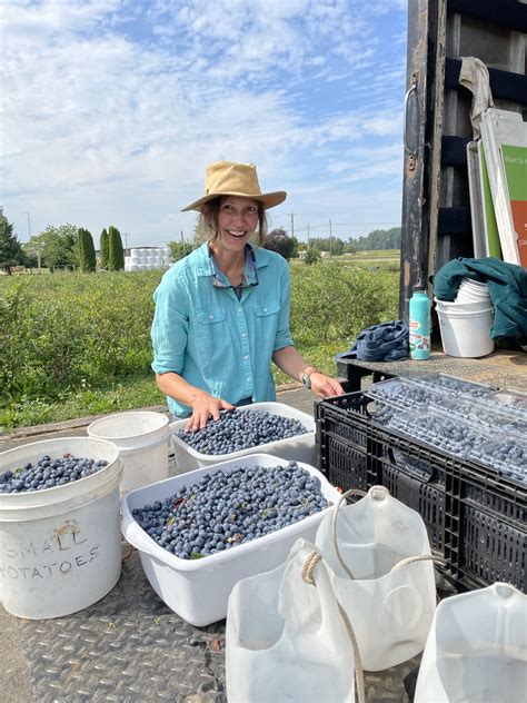 Gleaning Opportunities - Bellingham Food Bank