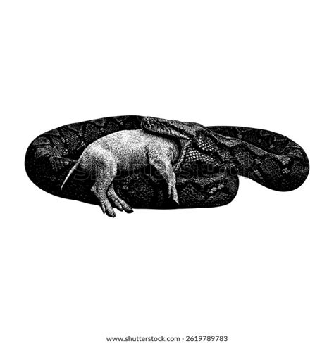 Python Eating a Pig 的图像结果