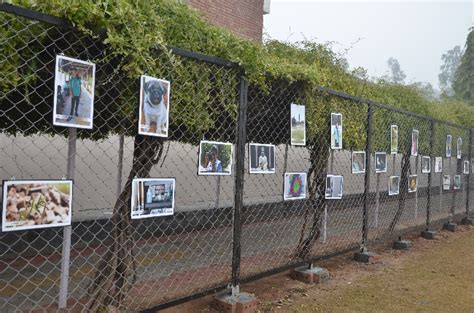 The Candid Lens - A Photography Exhibition - Chitkara International ...