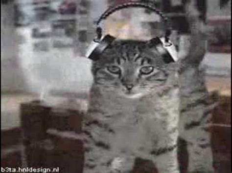 Image result for Cat Generator Control Module