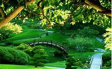Best Wallpaper Garden by Garden Wallpapers Best Wallpapers Best Wallpaper Garden