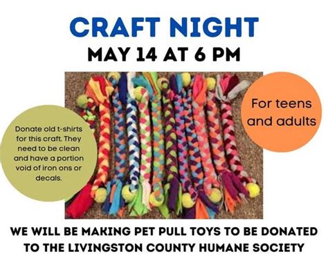Pet Toy Craft Night, 501 Carriage House Ln, Dwight, IL, United States ...
