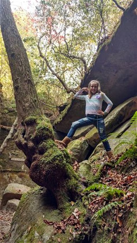 Haleyville Photos - Featured Images of Haleyville, AL - TripAdvisor