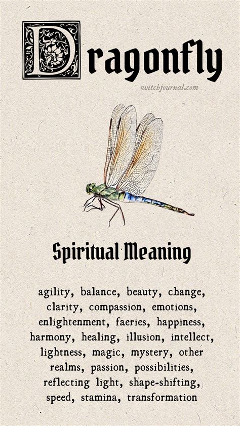 [2023] Dragonfly Meaning: Unraveling the Spiritual Messages of this ...
