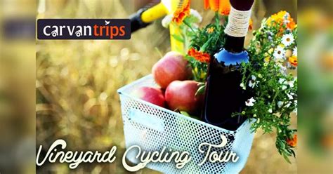 Cycling Tour To Nashik Vineyards, September 23 I LBB, Mumbai